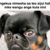 kayunonedi5