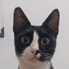 AdhiyatmaDP