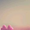 hanane31313