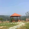 banmai_0376