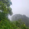 jujidy
