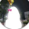 pakhi90250