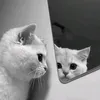 oggyiudau