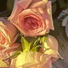 user22021842616058