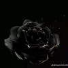 mylinh24tui