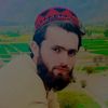 zahidsafi2882