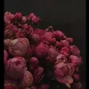 _dezzy_99