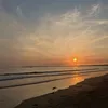 yanis.taane