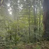karolsadowy760
