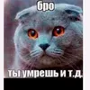 elenamozgovaya13
