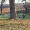 autumn.sizemore1