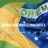 Direita nordestina 🇧🇷