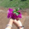 liz.y.adrian4