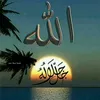 user9766985418497