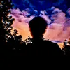 su.fe_1