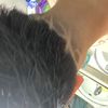 ykitsjose