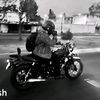 petermedina6817