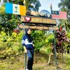 intanrogayahsoid