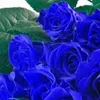 thunga_48