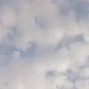 zx__jfjmw
