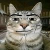 foxie023