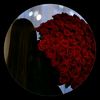 amor888888888i