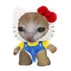 kittykwxuq