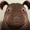 tretroufifaii
