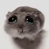 sapphire_21.1