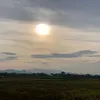 dyulnluong