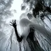 ardor.patron