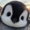 gamingwithpenguin745