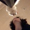 redcatbl
