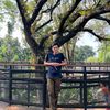 iqbal_wibowo