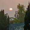 miminaziz183