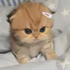 wanna.u.pretty