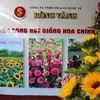 Hạt Giống Vạn Thọ Rồng Vàng