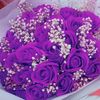 開心紫玫瑰(hằng hp)