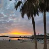 zoe_12367