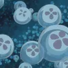 intp.anime