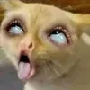 iamemma722