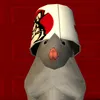 diegogogogo000