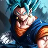 vegitoblu16