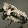 daeodon_fan