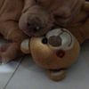edwinjerikoaranamurillo0