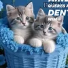 user020611124