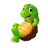 semifastturtle