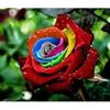 user5062393558243.hatice