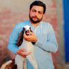 syedwaseemnaqvi51214
