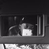 tlhogiiey.nolo